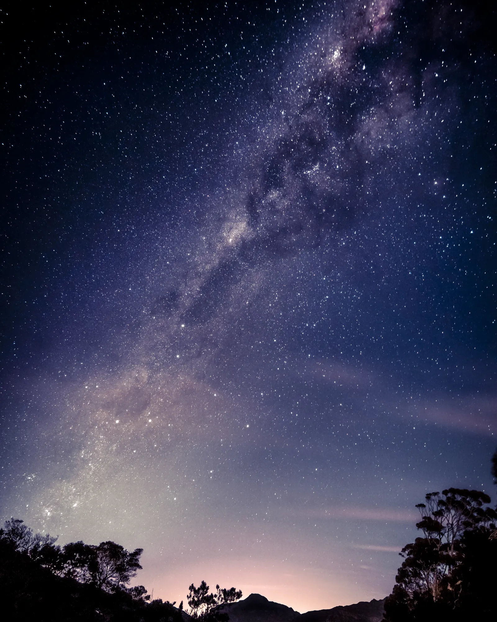 Bonsai Horizon Space